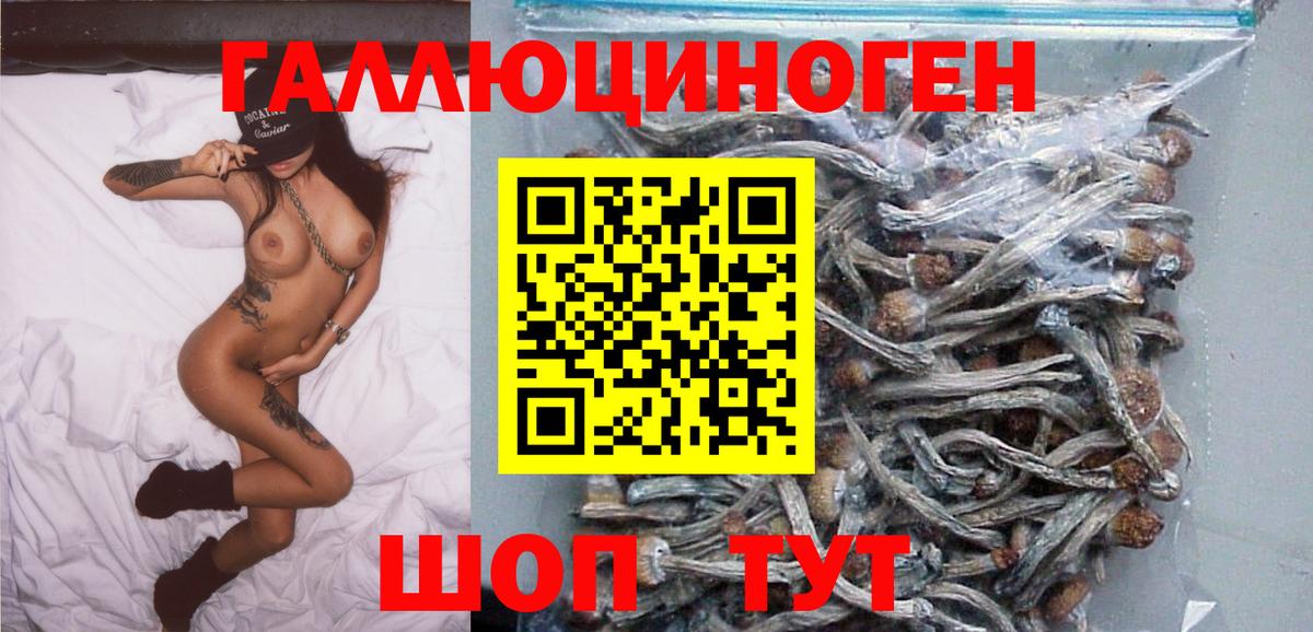 Псилоцибиновые грибы мухоморы  Галлюциногенные грибы Psilocybe  Вход с VPN  Абакан 