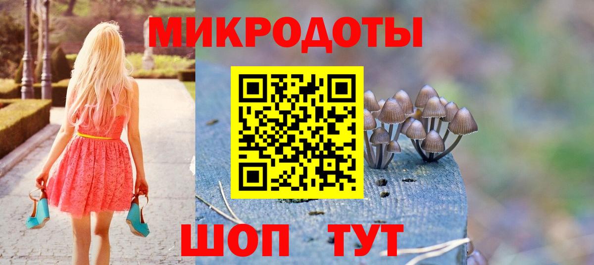 Псилоцибиновые грибы прущие грибы Абакан